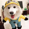 Minions Dog Costume