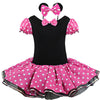 Minnie Mouse Party Fancy Kids Costume